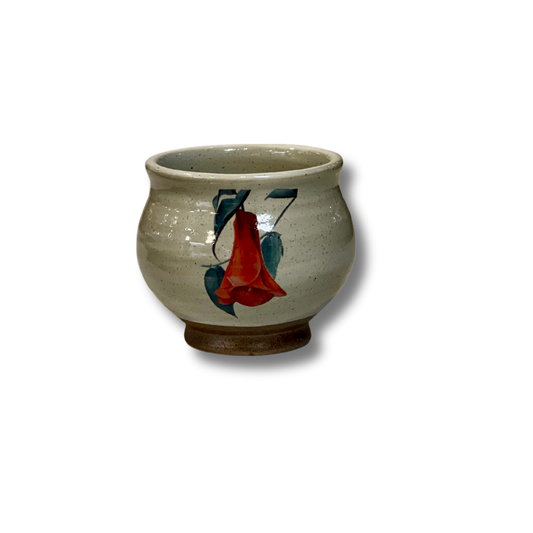 Vaso Mate Surtido