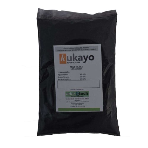 wakame 500gr