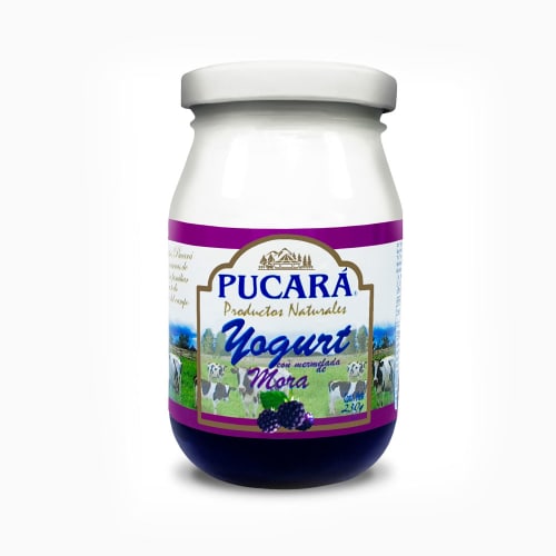 yoghurt pucara mora