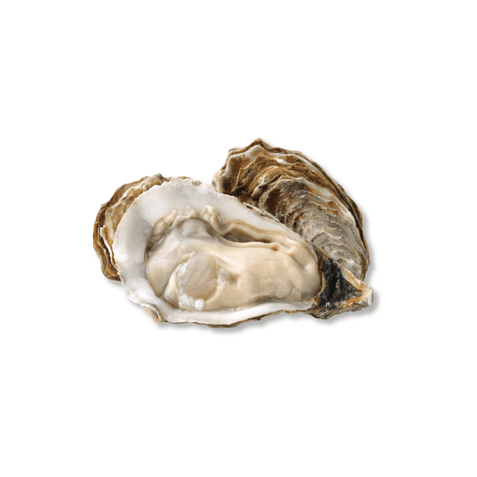 Ostión patagónico 500 grs.